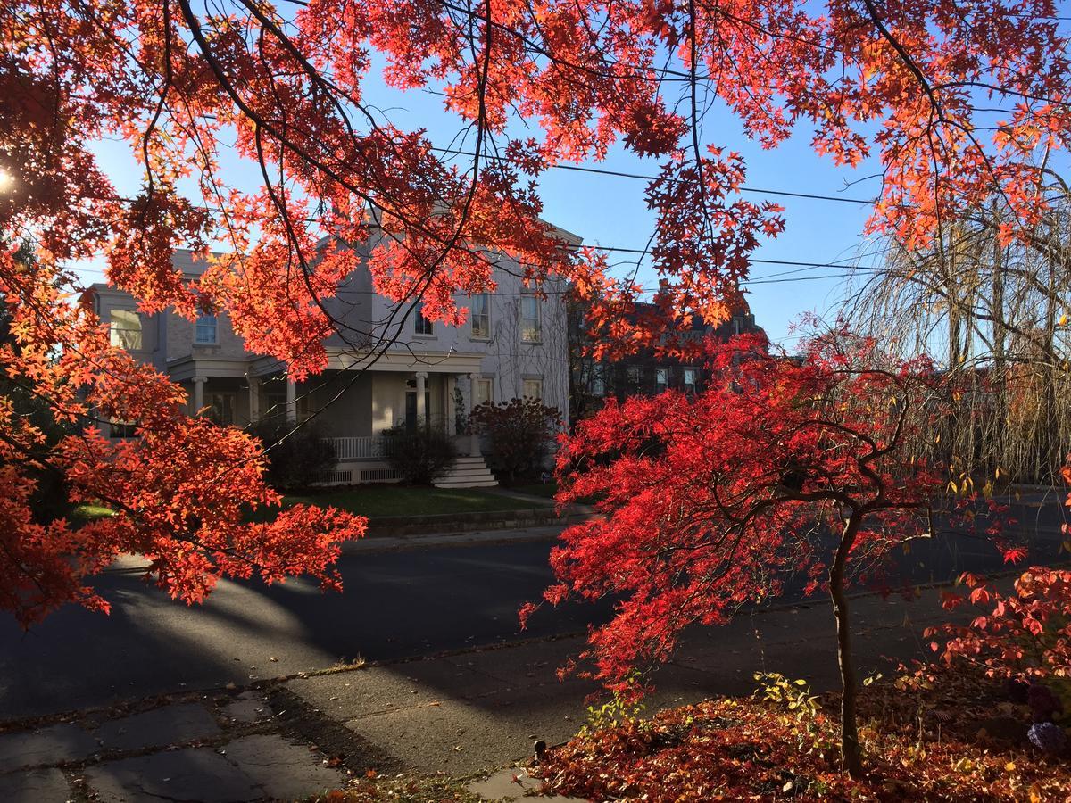Hudson City Bed And Breakfast Экстерьер фото